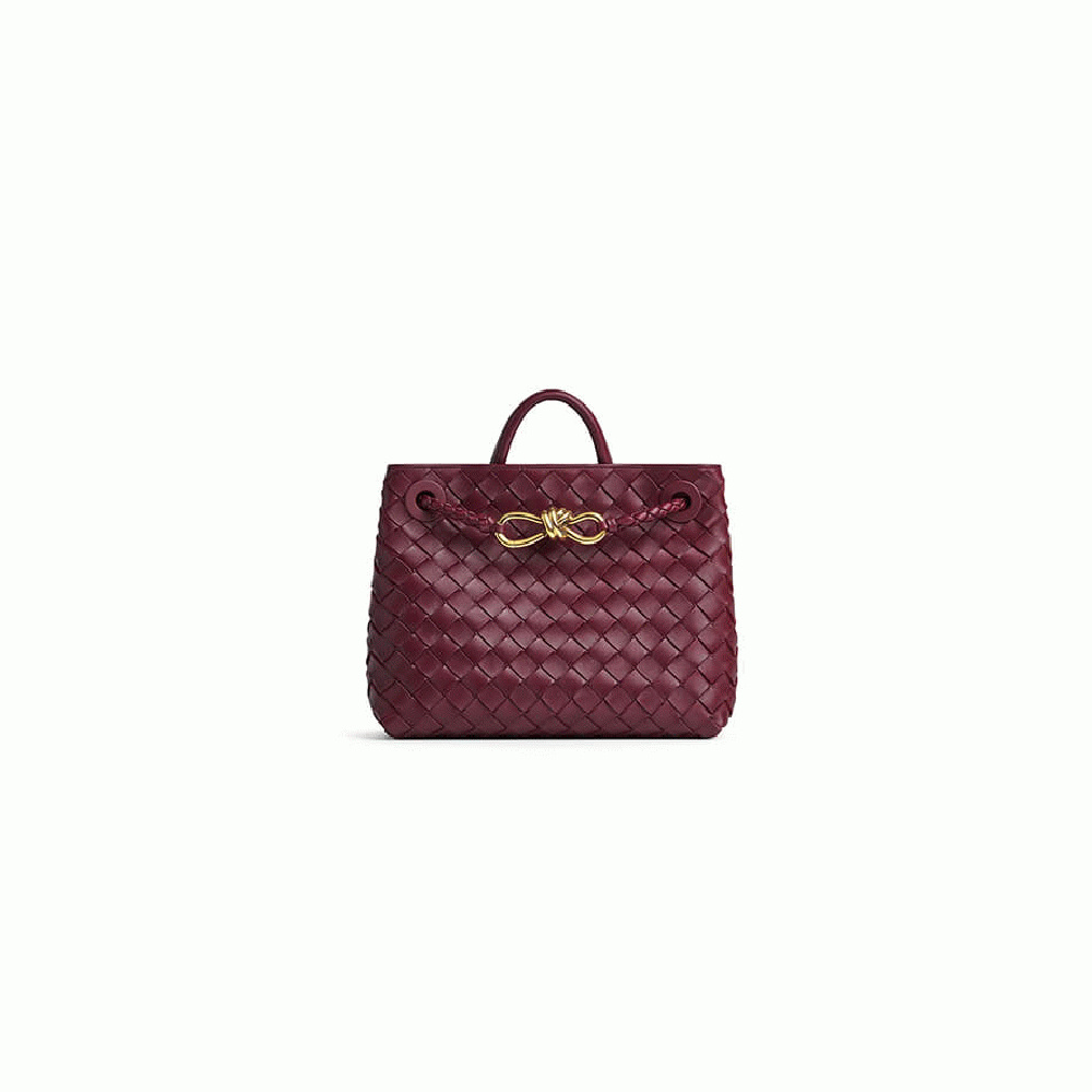 Bottega Veneta Small Andiamo