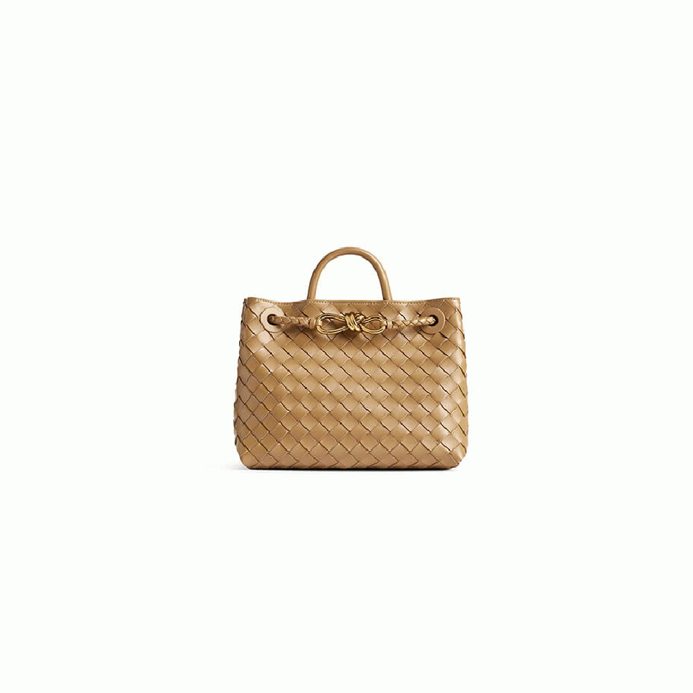 Bottega Veneta Small Andiamo
