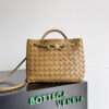 Bottega Veneta Small Andiamo