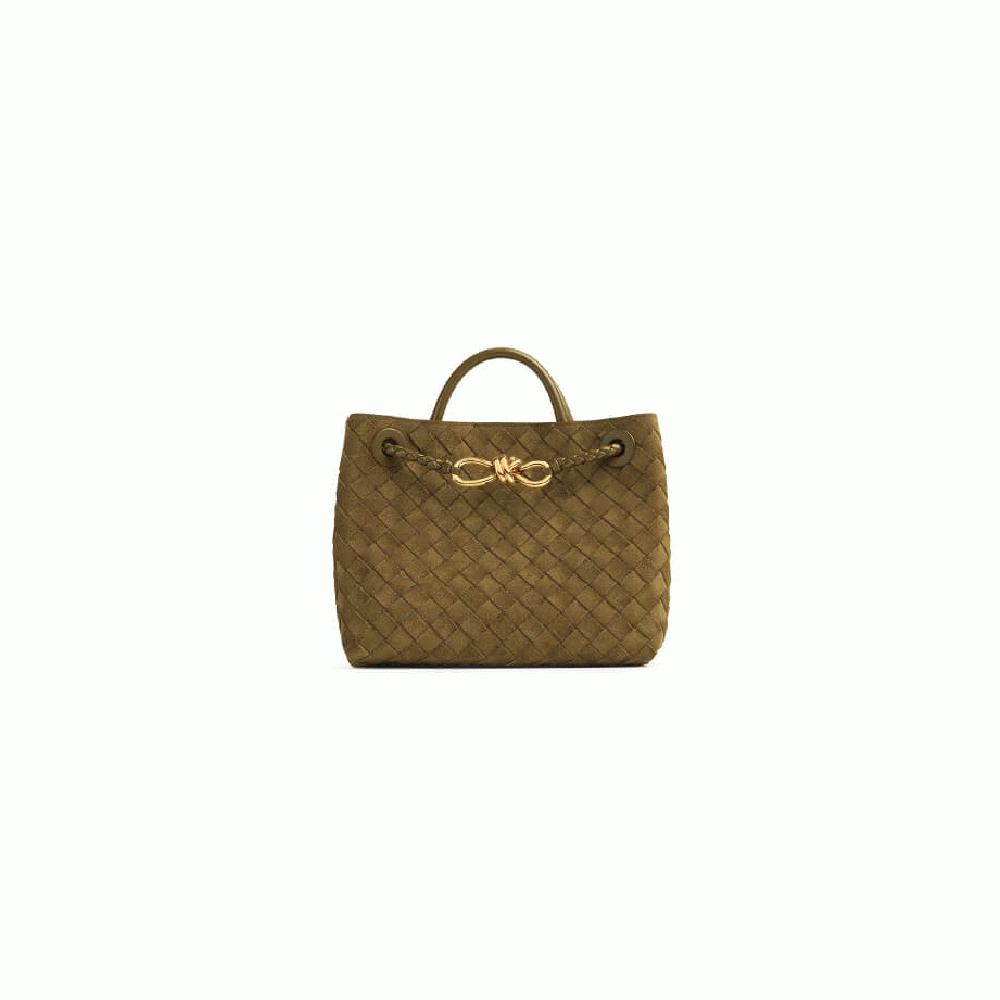 Bottega Veneta Small Andiamo