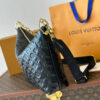 LV Coussin Hobo MM