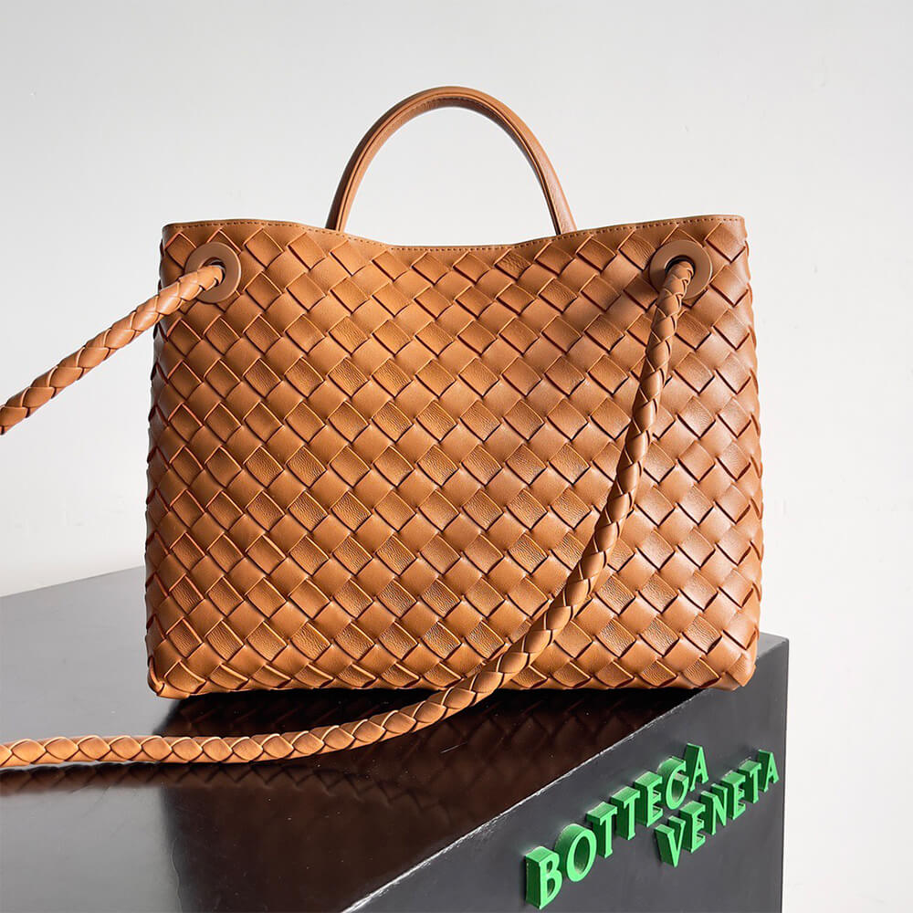 Bottega Veneta Medium Andiamo