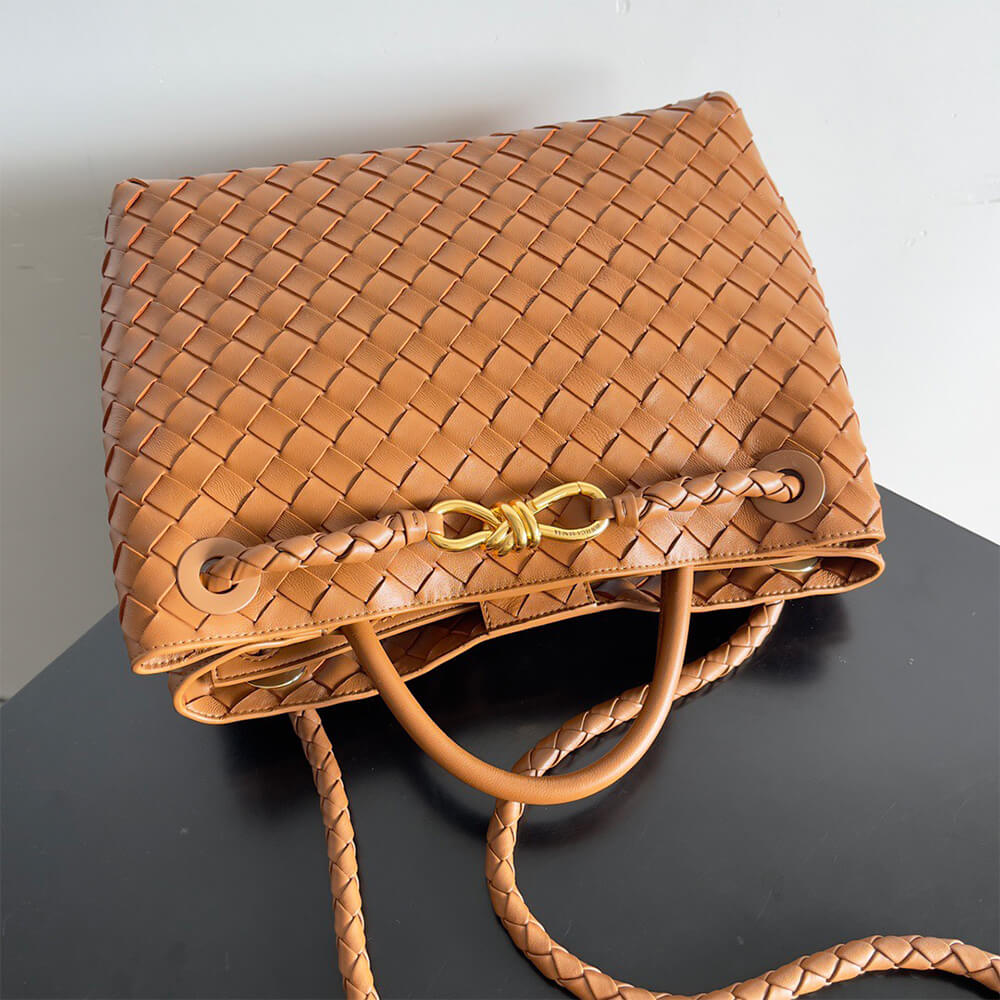Bottega Veneta Medium Andiamo