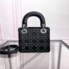 Mini Lady Dior Bag