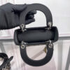 Mini Lady Dior Bag