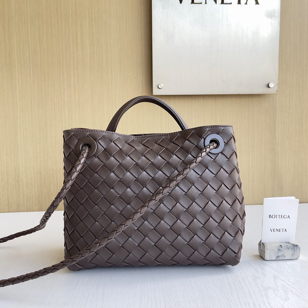 17922-4 Bottega Veneta Small Andiamo(Tax-Free grade)