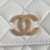 CHANEL Clutch With Chain(high-end grade)