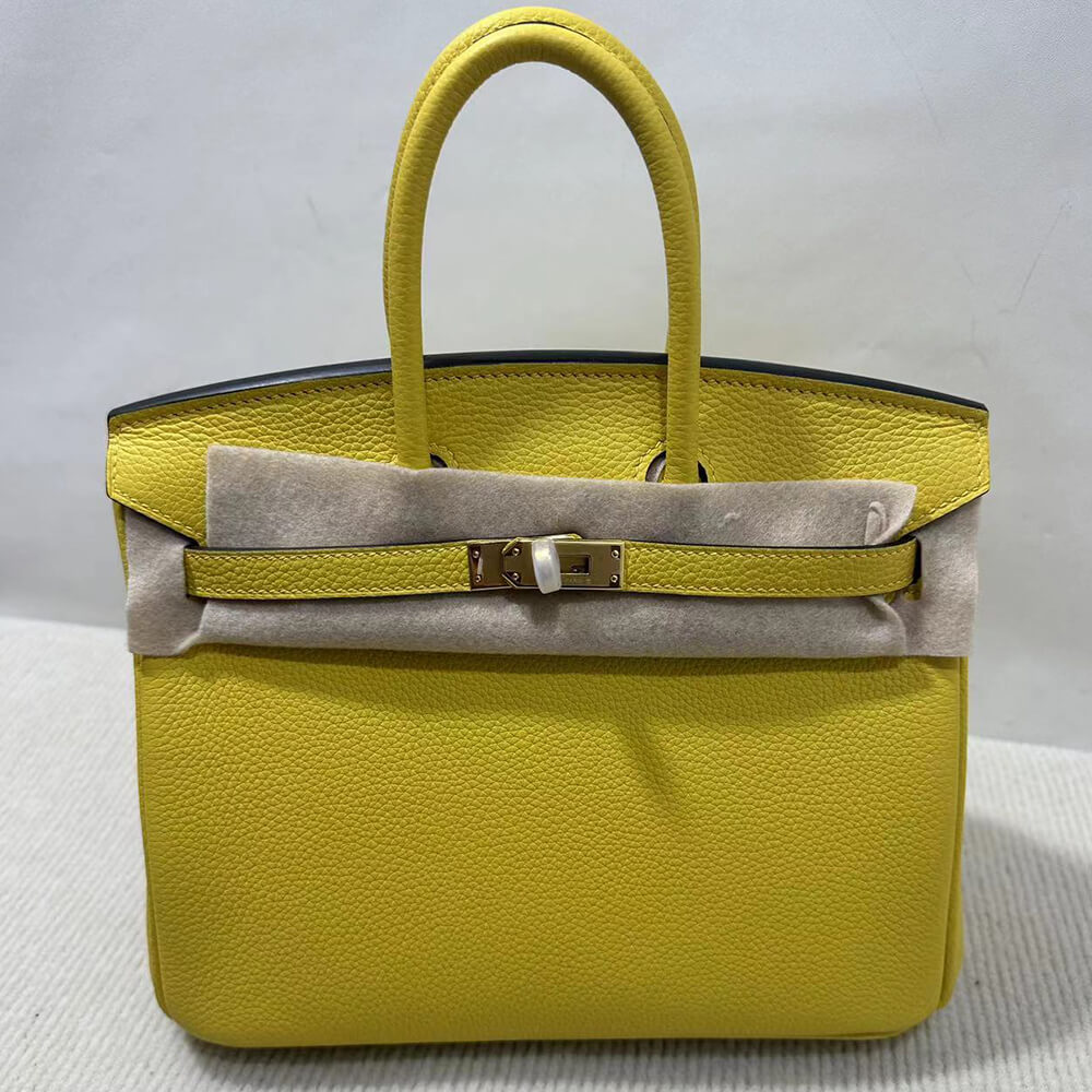 Hermes Birkin 25 Bag(Tax-Free GRADE)