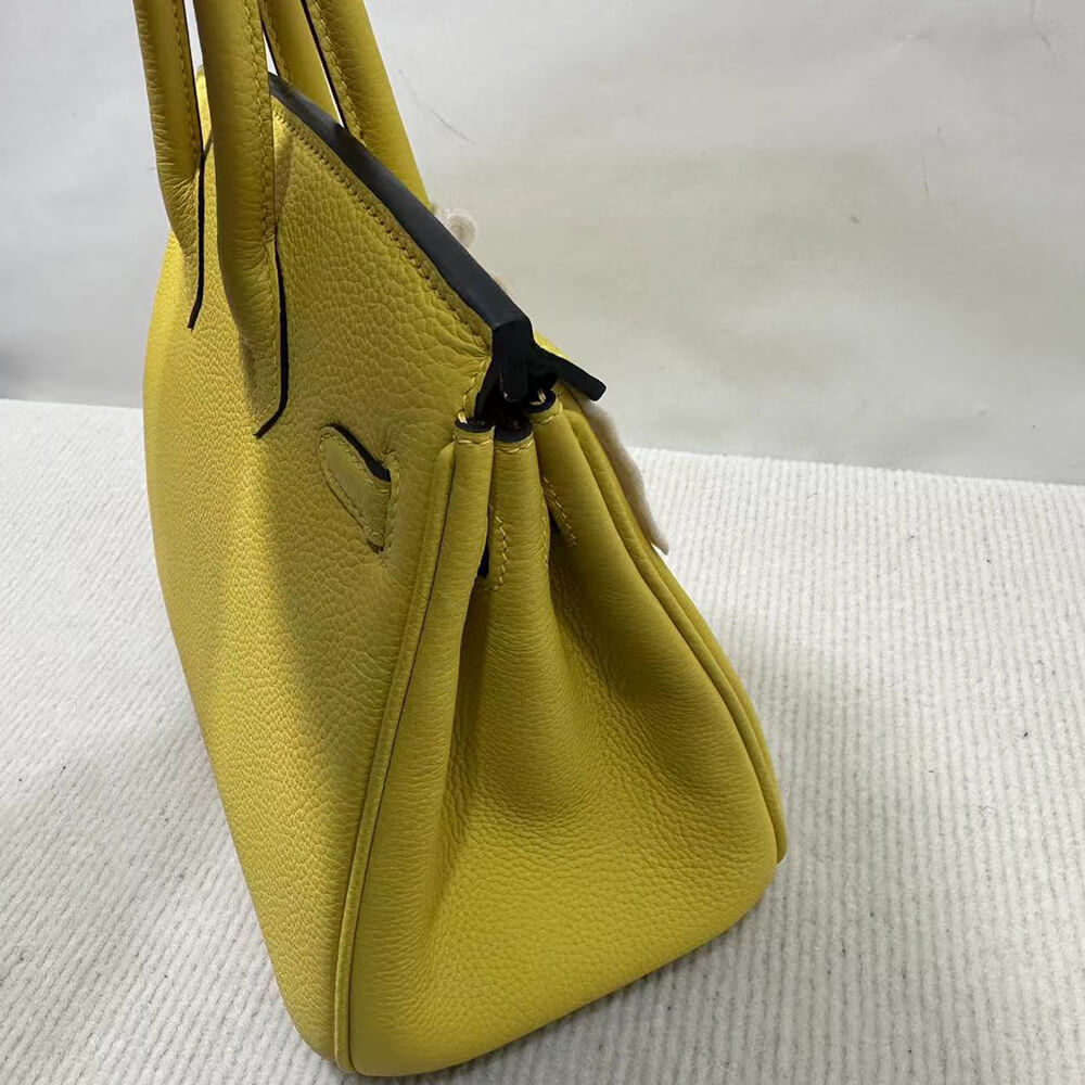 Hermes Birkin 25 Bag(Tax-Free GRADE)