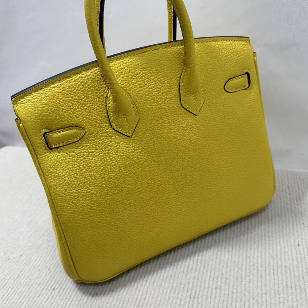 Hermes Birkin 25 Bag(Tax-Free GRADE)