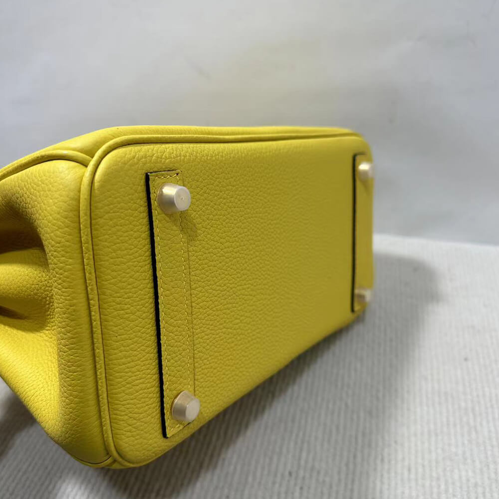 Hermes Birkin 25 Bag(Tax-Free GRADE)