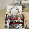 Dior Medium Lady D-Lite Bag