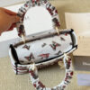 Dior Medium Lady D-Lite Bag