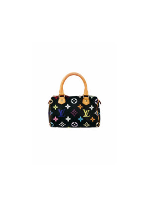 LV Multicolor Nano Speedy Bag
