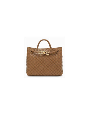 Bottega Veneta Medium Andiamo