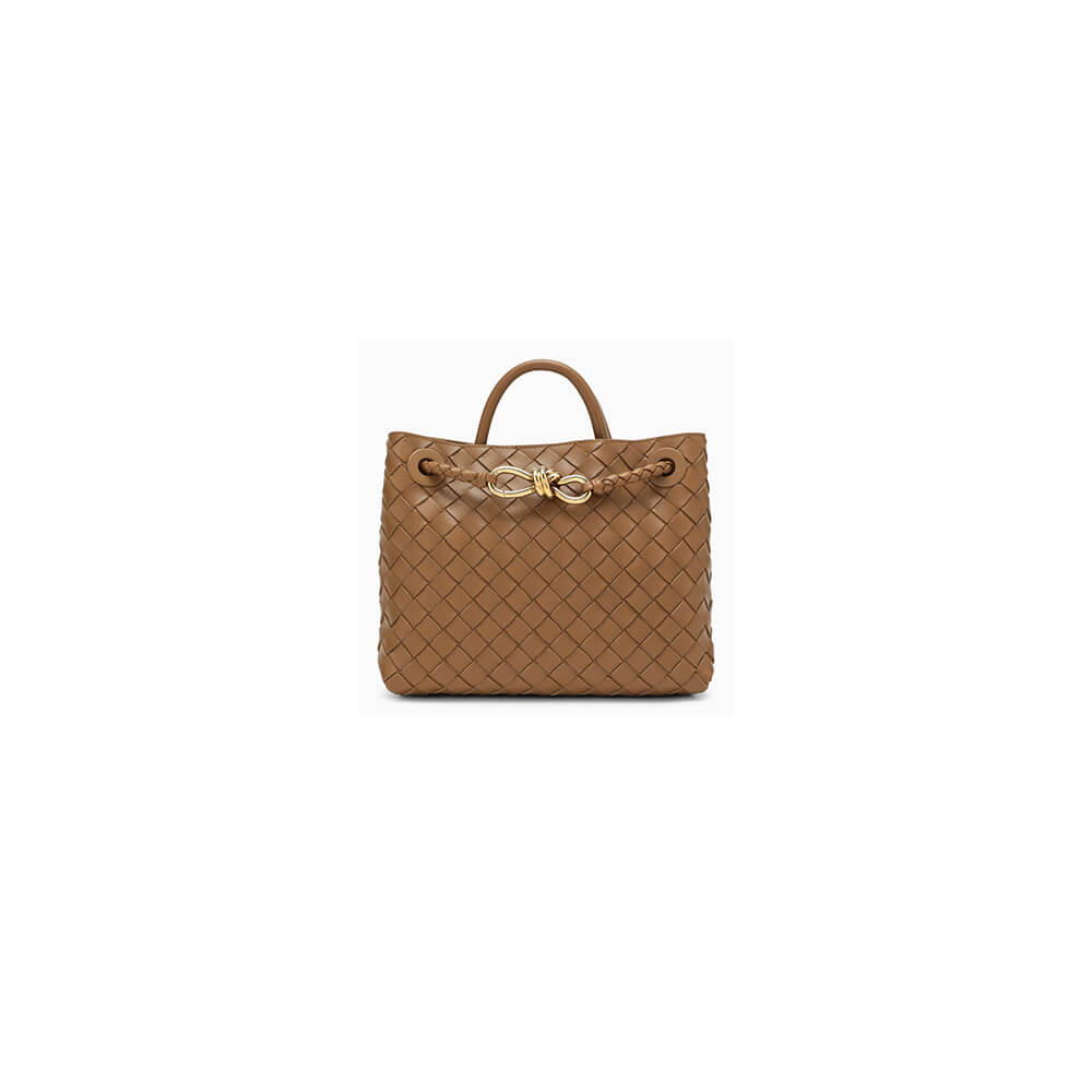 Bottega Veneta Medium Andiamo