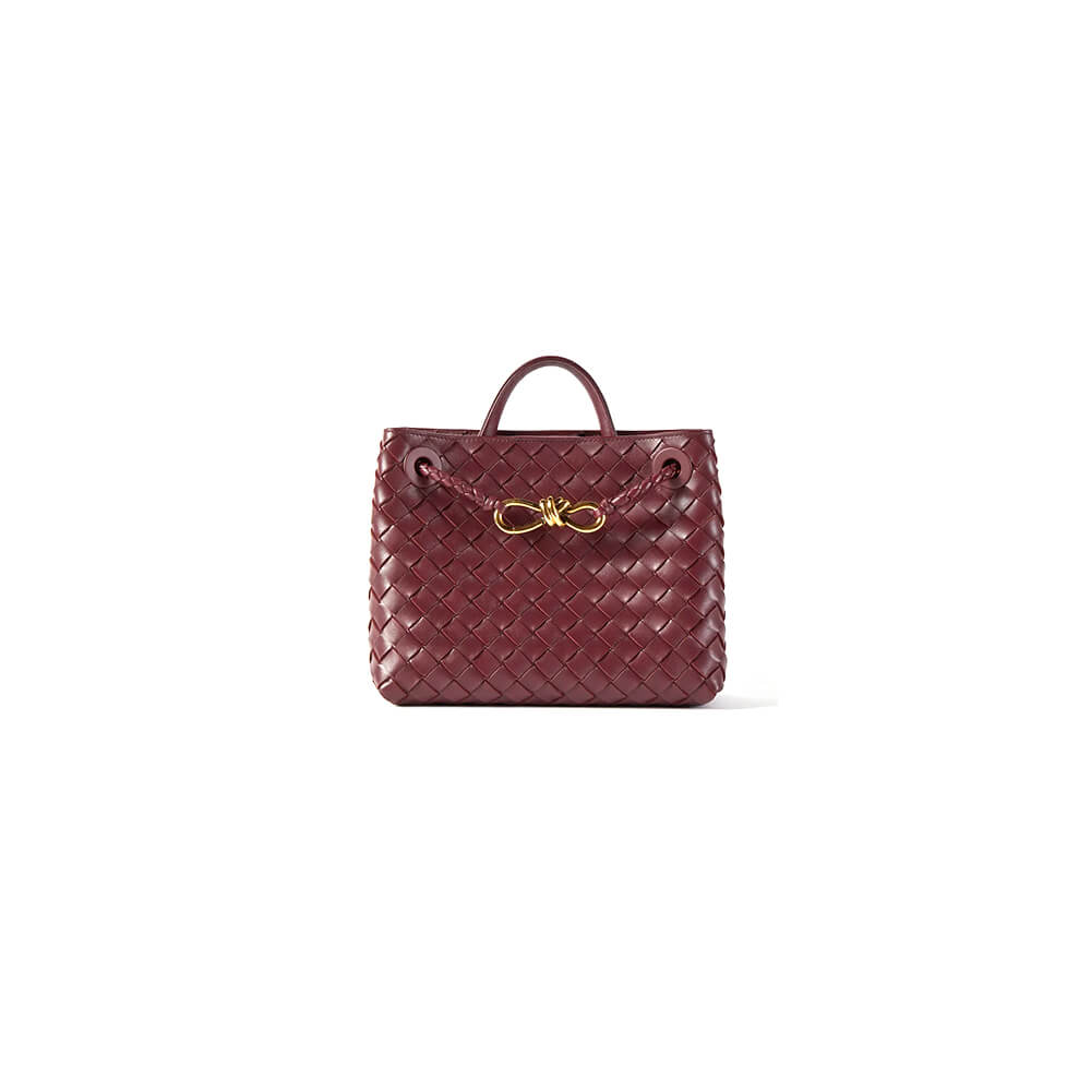 Bottega Veneta Medium Andiamo