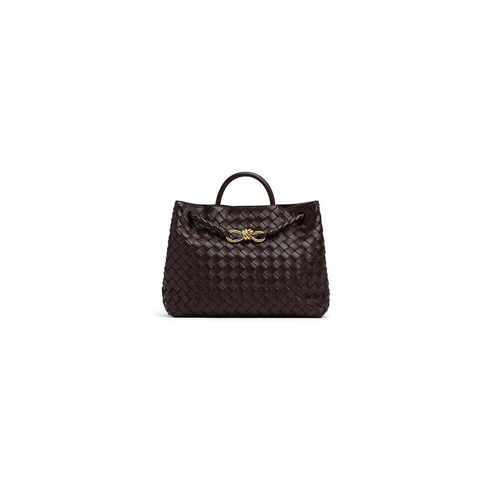 Bottega Veneta Medium Andiamo(Tax-Free grade)