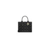 Dior Medium Dior Book Tote