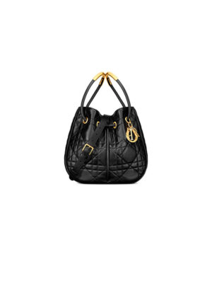 Large Dior Nolita Bag