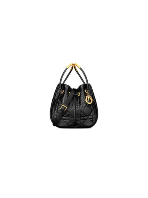Medium Dior Nolita Bag