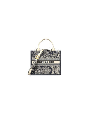 Small Dior Book Tote