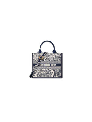 Small Dior Book Tote