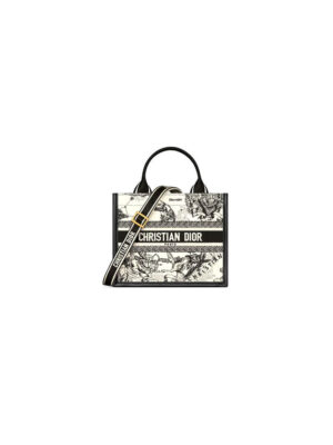 Small Dior Book Tote