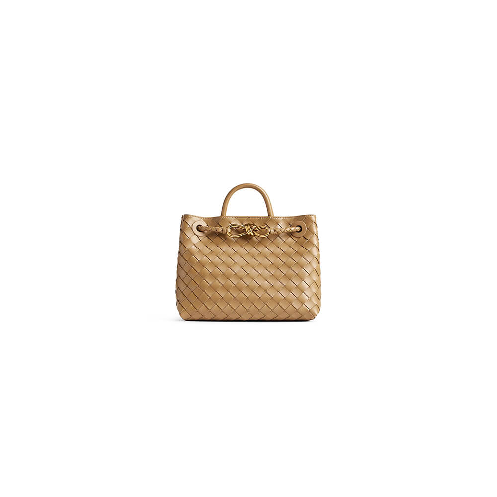 Bottega Veneta Small Andiamo