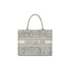SMALL DIOR BOOK TOTE