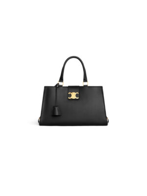 CELINE MEDIUM APPOLINE BAG in calfskin(HIGH-END GRADE)