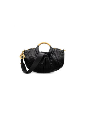 Dior Walk in Dior Purse