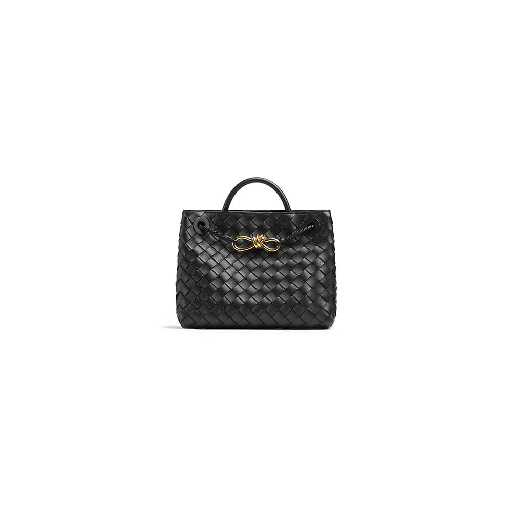 Bottega Veneta Small Andiamo