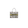 Medium Dior Book Tote