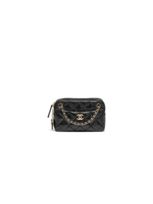 CHANEL Mini Camera Case