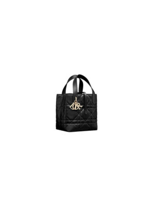 Small Dior Toujours Vertical Tote Bag(high-end grade)
