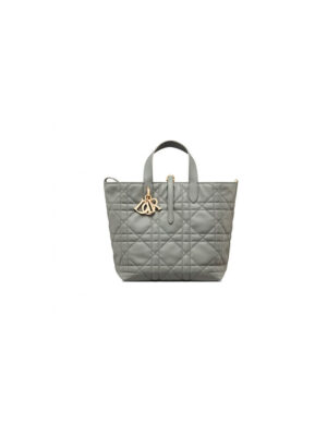 Medium Dior Toujours Vertical Tote Bag(high-end grade)