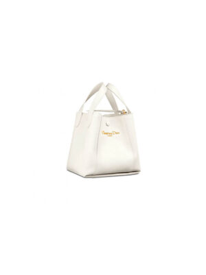 Dior Small Signature Bucket Bag