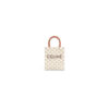 CELINE Mini Vertical Cabas IN Triomphe Canvas with Celine print