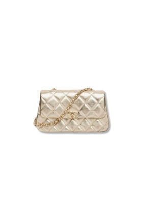 Chanel Clutch with Chain(HIGH-END GRADE)