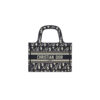 MINI DIOR BOOK TOTE