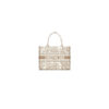 Medium Dior Book Tote