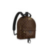 Louis Vuitton PALM SPRINGS MM