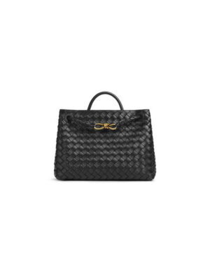 Bottega Veneta Medium Andiamo(high-end grade)