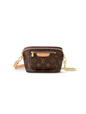 LV Mini Bumbag