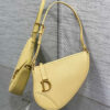 Dior Saddle Rodeo Pouch