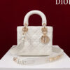 SMALL LADY DIOR MY ABCDIOR BAG(HIGH-END GRADE)