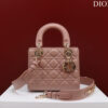 Small Lady Dior My ABCDior Bag(high-end grade)