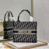SMALL DIOR BOOK TOTE
