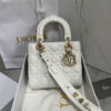 SMALL LADY DIOR MY ABCDIOR BAG
